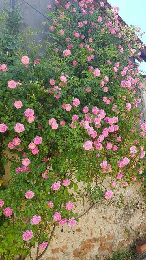 Casa Bergwald Apartment ริชนอฟ ภายนอก รูปภาพ